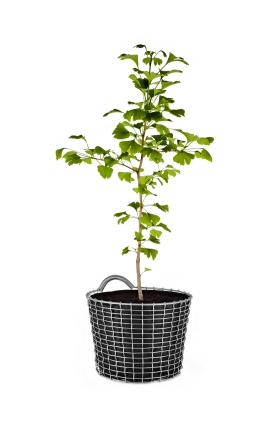 Pflanzenkorb bestehend aus Edelstahlkorb Bin und Planting Bag, schwarz, KORBO, 4-teilig