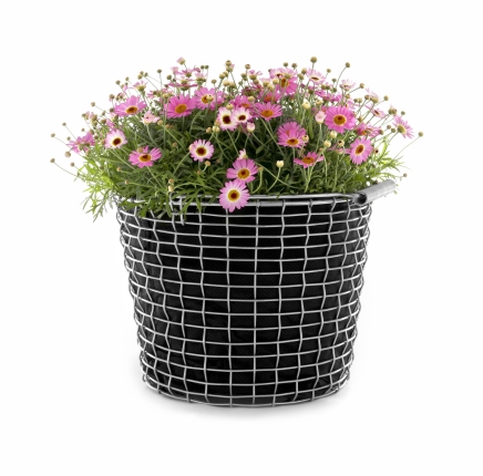 Pflanzenkorb bestehend aus Edelstahlkorb Bucket und Planting Bag, schwarz, KORBO, 4-teilig
